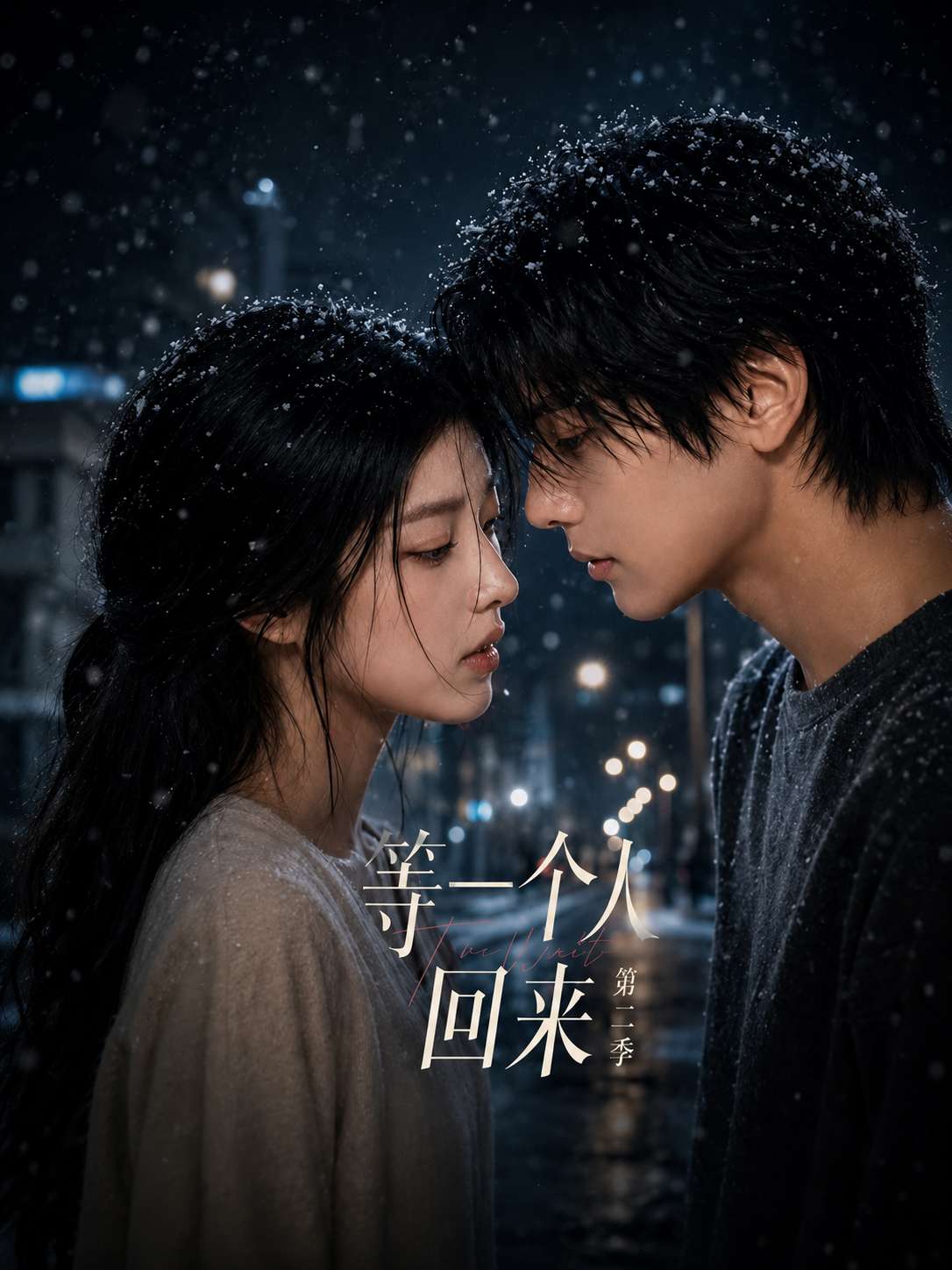 等一个人回来 第二季 海报